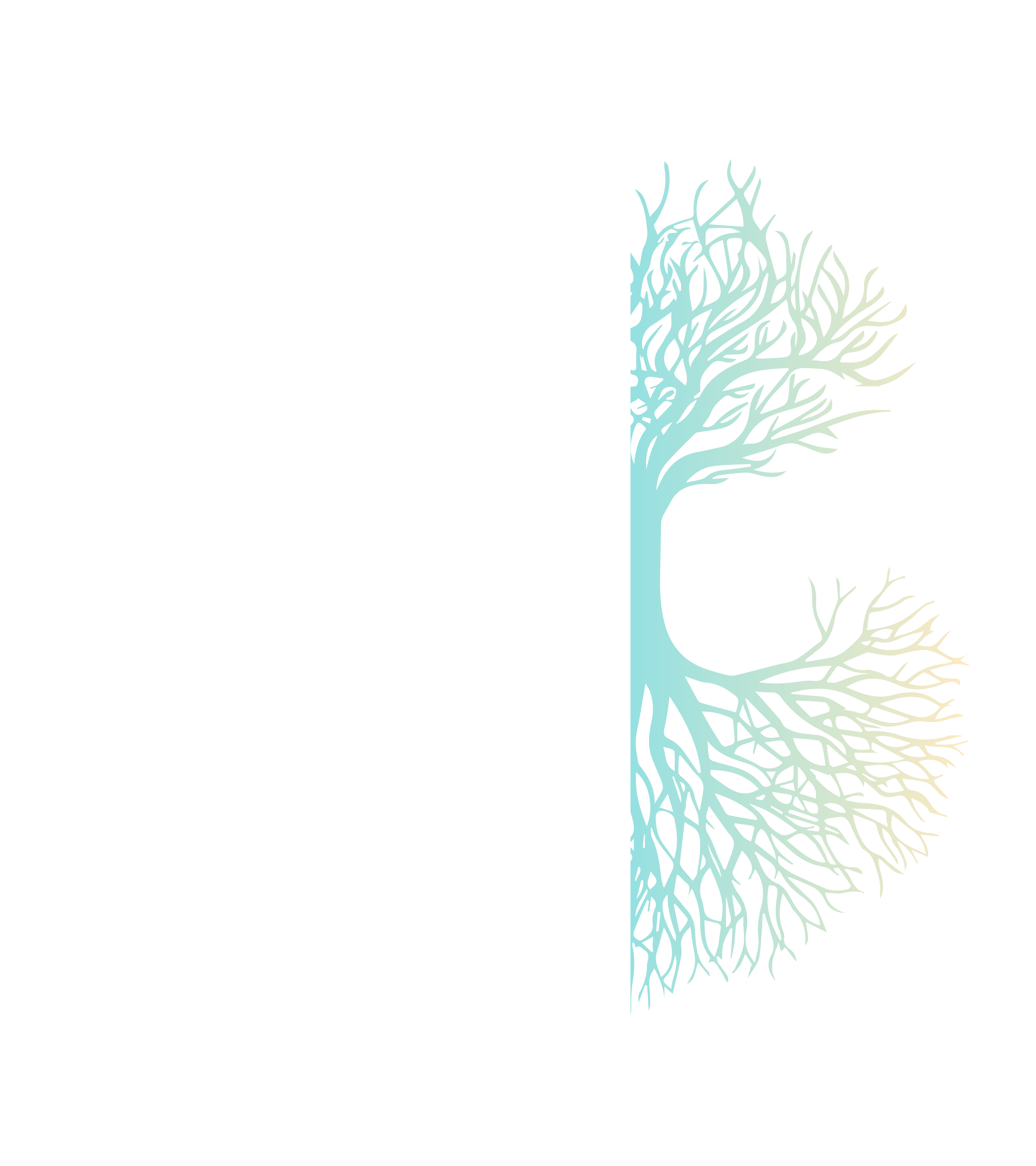 The Silphium logo